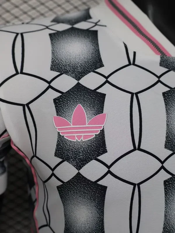 25-26 JUV Grey Special Edition Player Version Training shirts