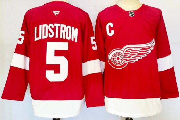 2025 NHL Detroit Red Wings New Pattern Jersey