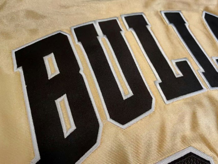 M&N Bulls Jordan#23 75th anniversary Top Quality Dense Embroidery NBA Jersey