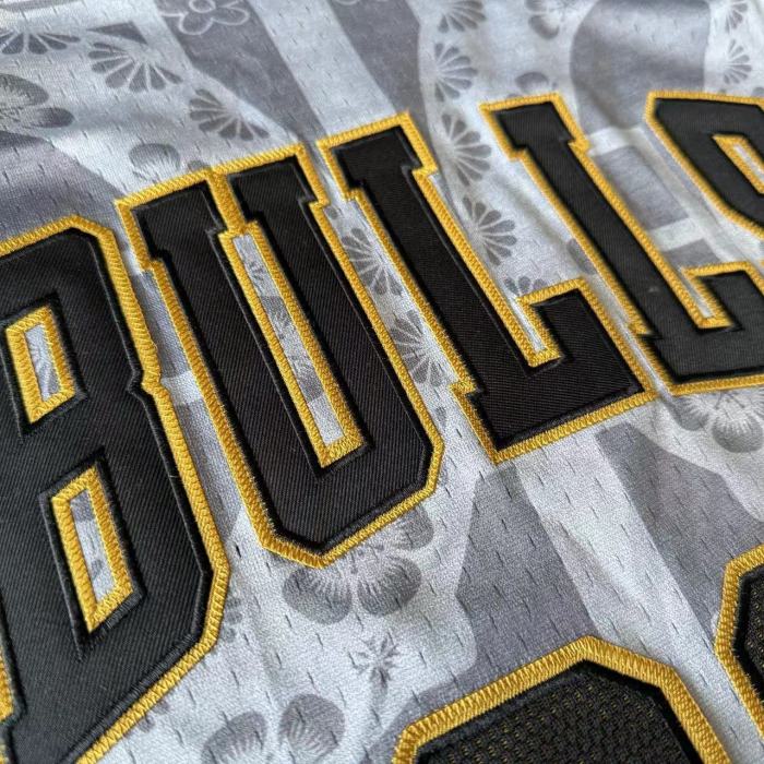 M&N Bulls Jordan#23 Year of the Snake Top Quality Dense Embroidery NBA Jersey