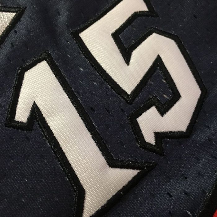 1998-1999 M&N Raptors Carter #15 Independence Day Retro Top Quality Dense Embroidery NBA Jersey