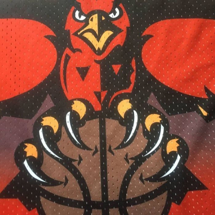 1996-1997 M&N Hawks Mutombo #55 Retro Top Quality Dense Embroidery NBA Jersey