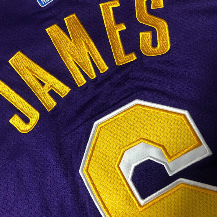 Lakers James #6 Purple Retro Top Quality Dense Embroidery NBA Jersey