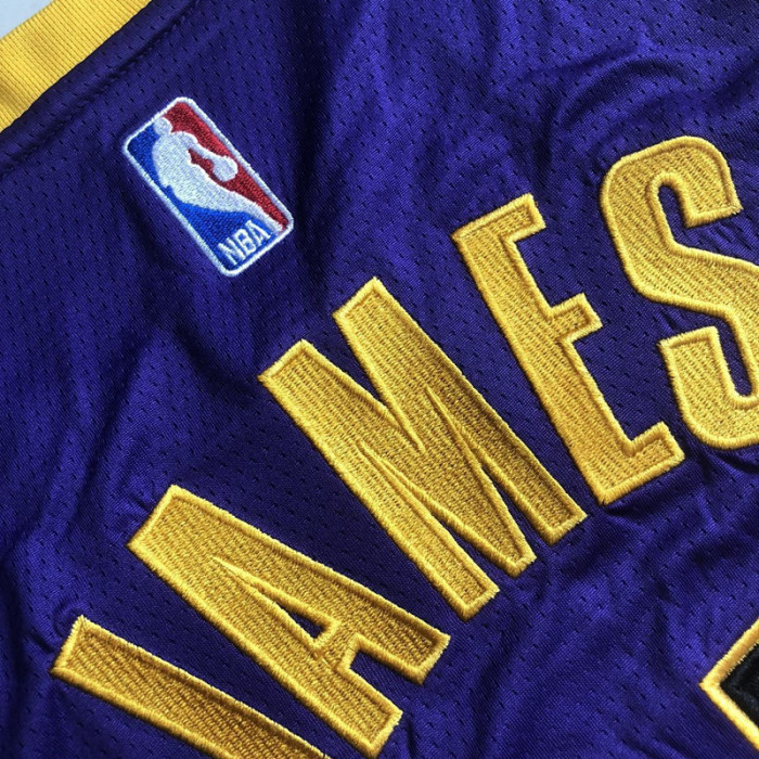 2025 Lakers James #23 Purple Top Quality Dense Embroidery NBA Jersey