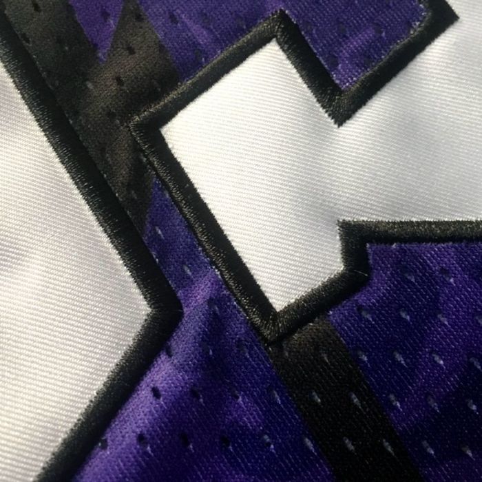 1998-1999 M&N Raptors BAPE #93 Retro Top Quality Dense Embroidery NBA Jersey