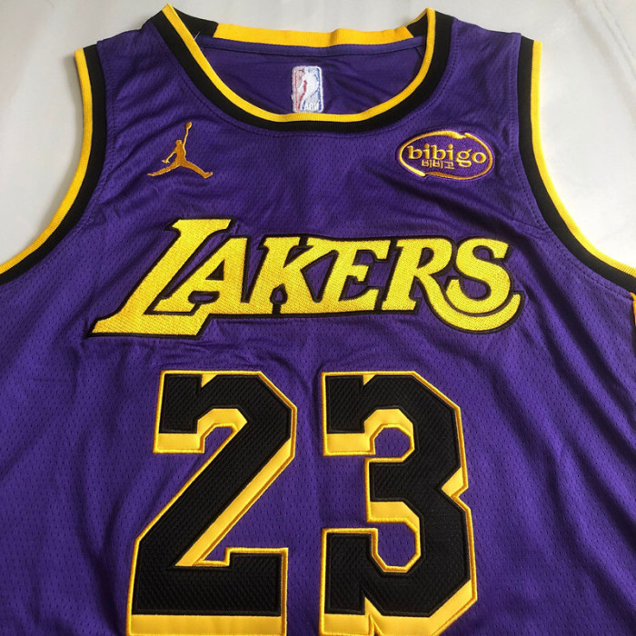 2025 Lakers James #23 Purple Top Quality Dense Embroidery NBA Jersey