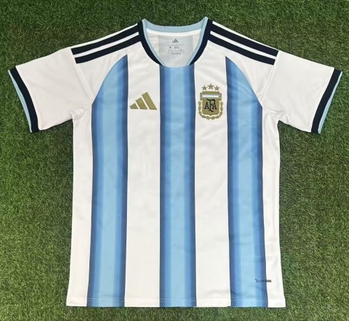 2026 World Cup Argentina Home Fans Soccer Jersey