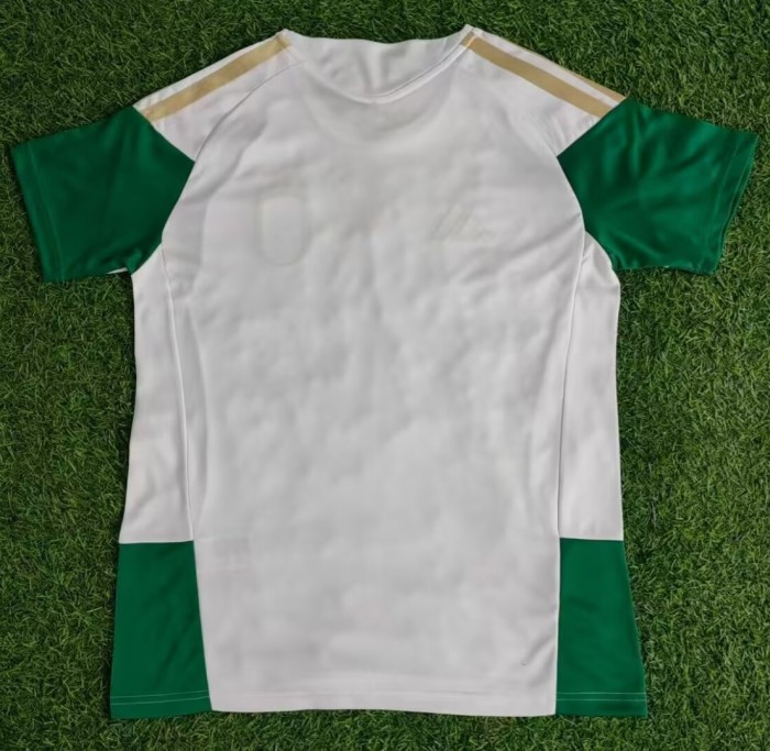 25-26 Italy White Green Training shirts