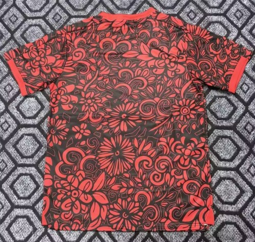 25-26 Palestine Special Edition Fans Soccer Jersey