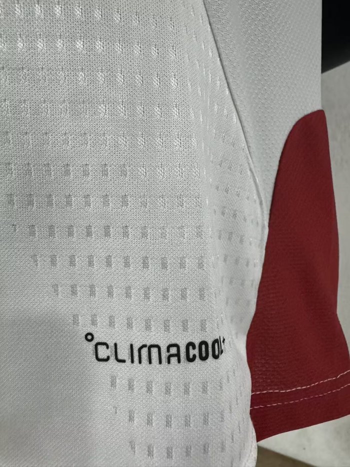 2026 Germany White Player Version Training shirts