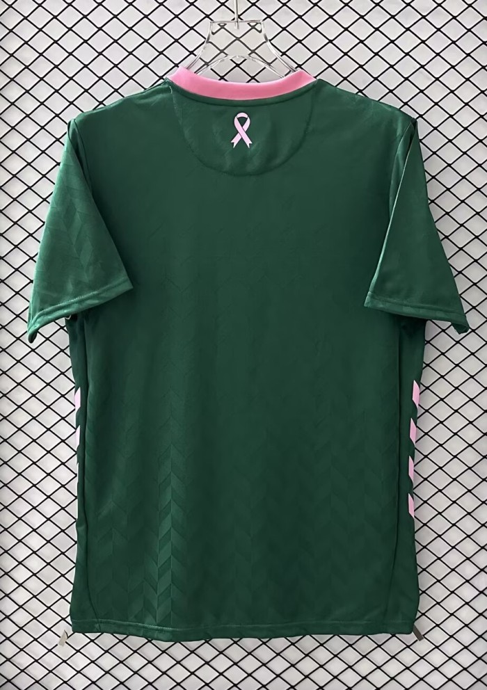 25-26 Saint Etienne Green Special Edition Fans Soccer Jersey