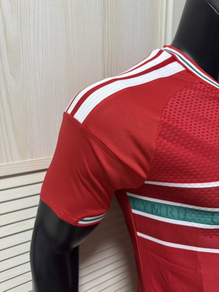 2026 Wales Home Player Version Soccer Jersey