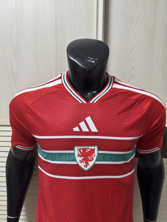 2026 Wales Home Player Version Soccer Jersey