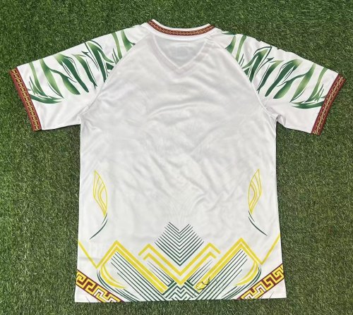 25-26 Mali Third Fans Soccer Jersey
