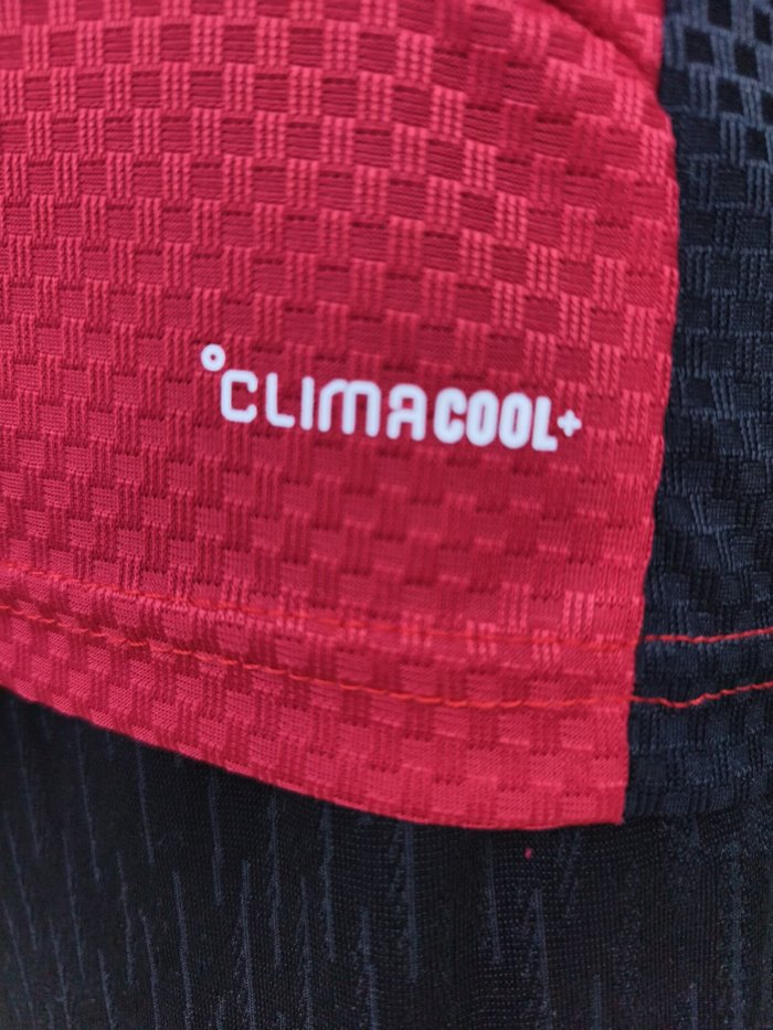 2026 Germany Red Player Version Training shirts