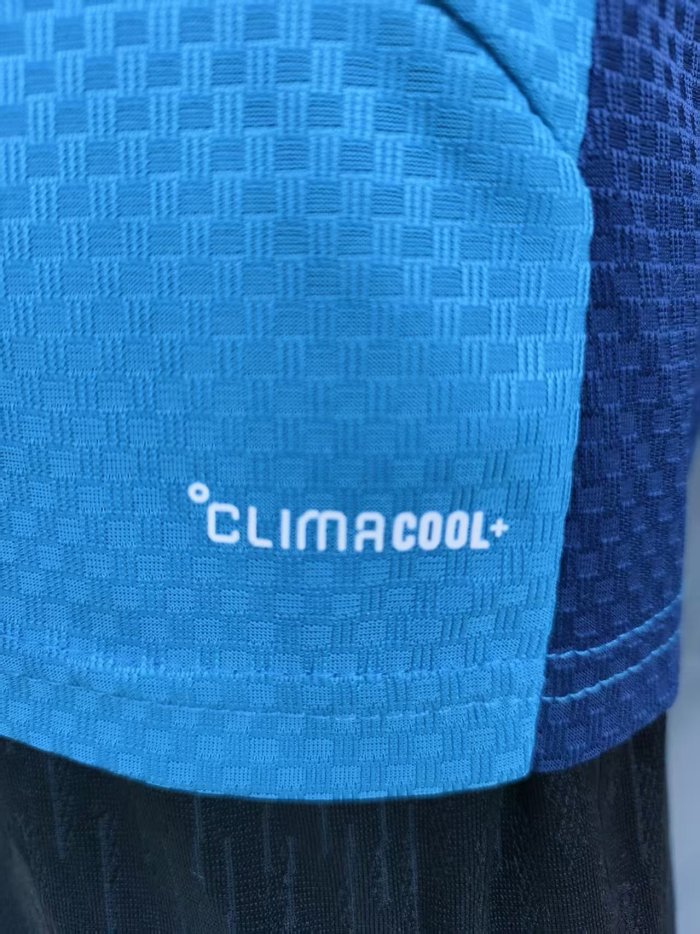 25-26 Spain Blue Player Version Training shirts