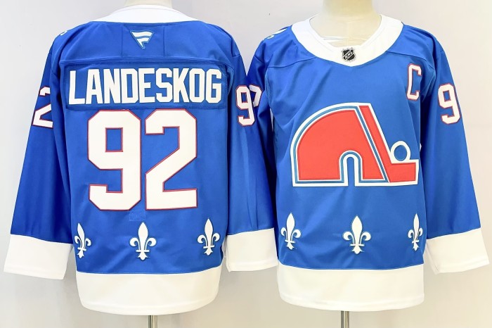 Colorado Avalanche Quebec Nordiques NHL hockey New Pattern Jersey