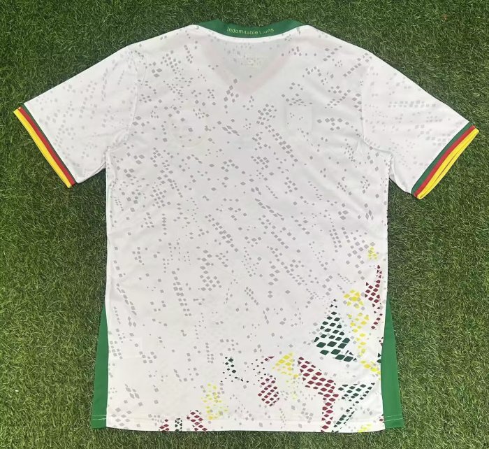 25-26 Cameroon Away Fans Soccer Jersey