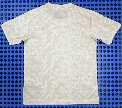 25-26 PSG Special Edition Fans Training shirts