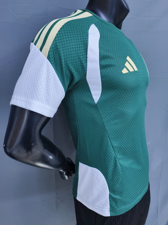 25-26 Italy Green Player Version Training shirts