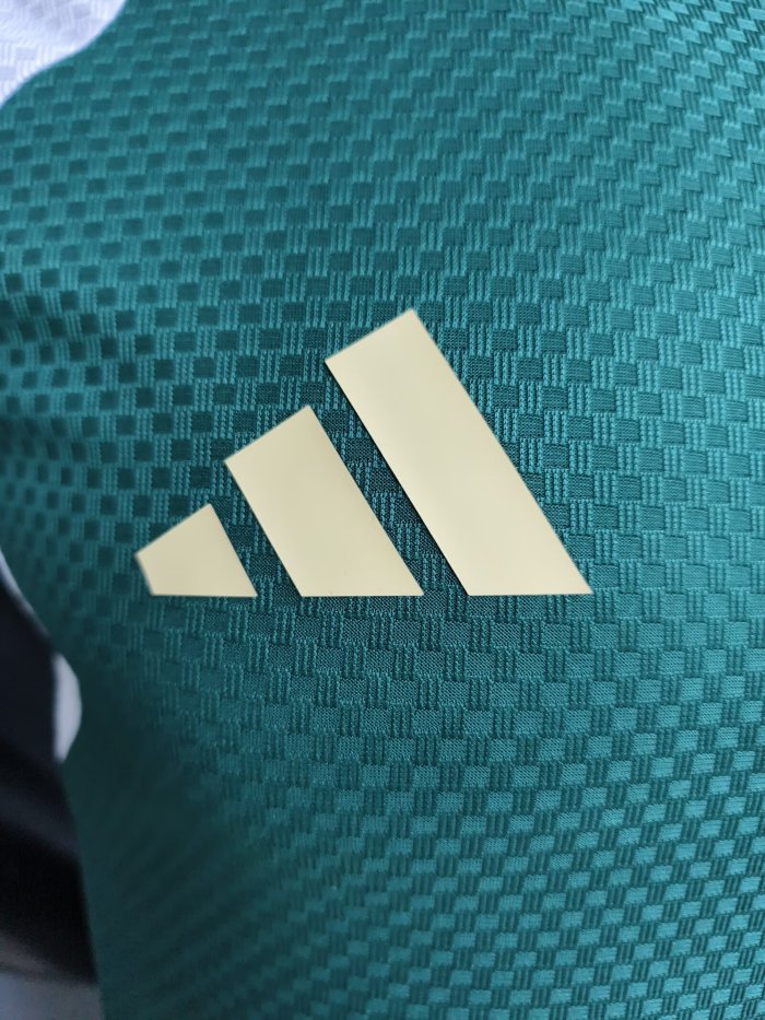 25-26 Italy Green Player Version Training shirts