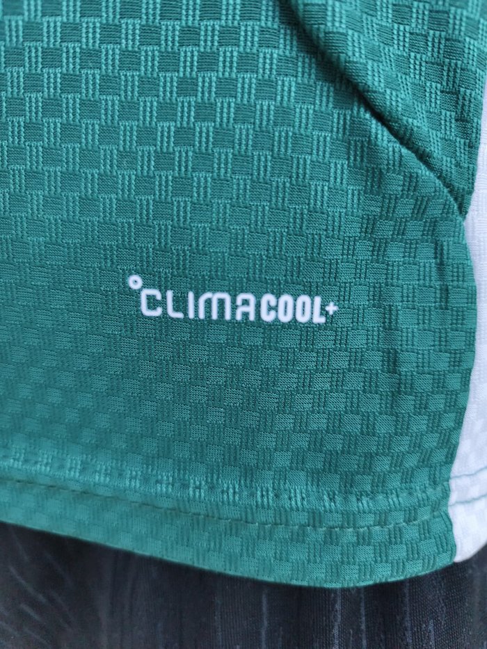 25-26 Italy Green Player Version Training shirts