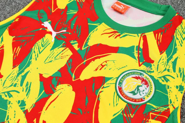 25-26 Senegal High Quality Tank Top And Shorts Suit