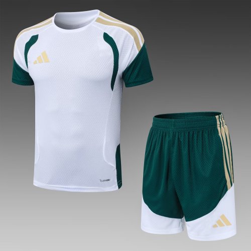 2026 AD White High Quality Player Version Training Short Suit (球员套装)