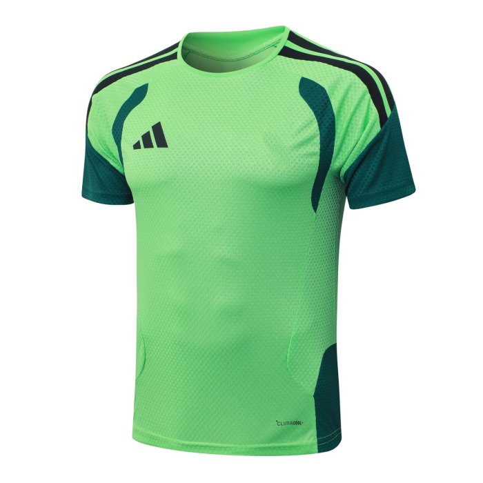 2026 AD Green High Quality Player Version Training Short Suit (球员套装)