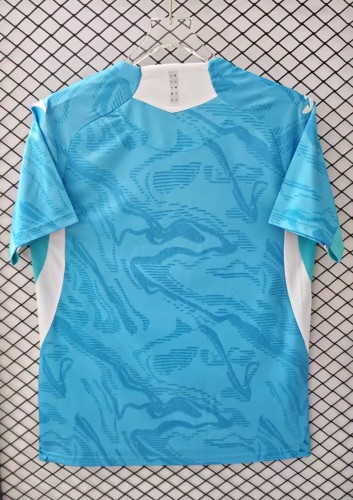 25-26 Hoffenheim Away Fans Soccer Jersey