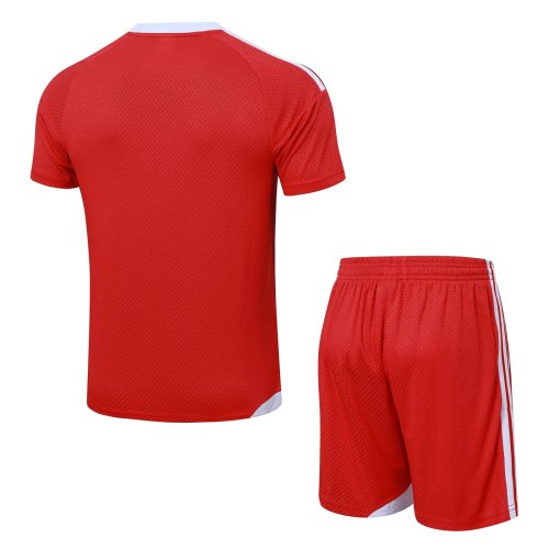 2026 AD Red High Quality Player Version Training Short Suit (球员套装)