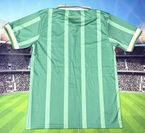 25-26 Aston Villa Special Edition Fans Soccer Jersey