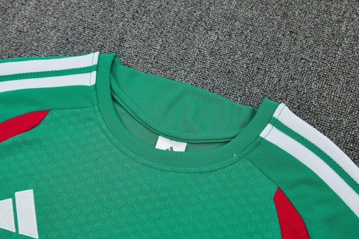 2026 Algeria High Quality Training Short Suit