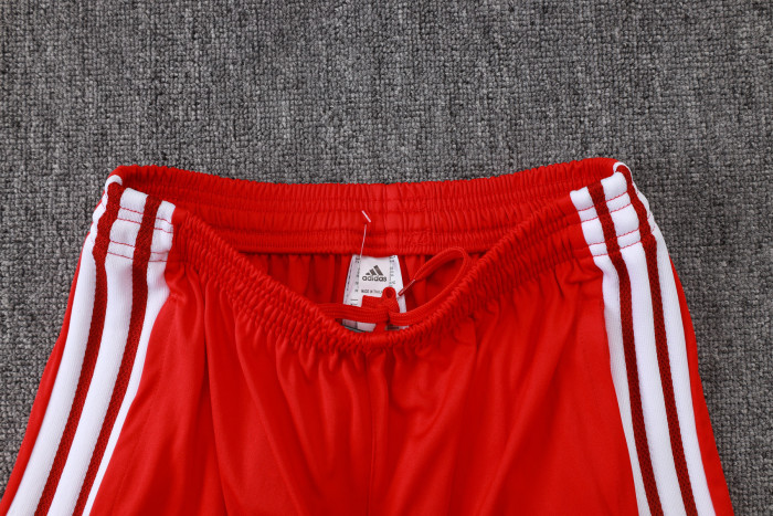 26-27 Internacional High Quality Training Short Suit