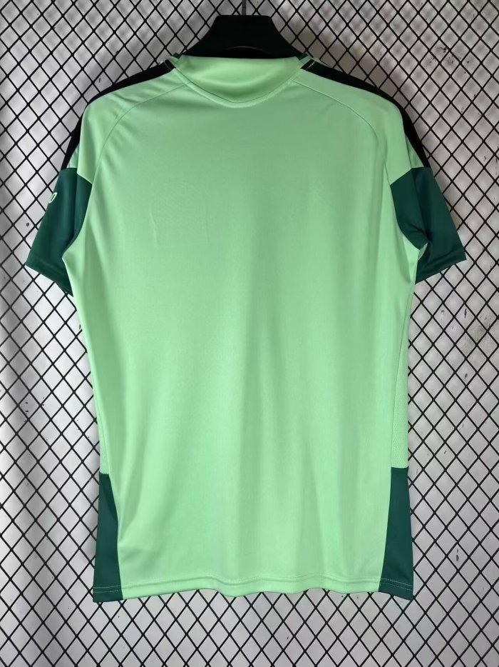 26-27 Mexico Green Special Edition Fans Training shirts