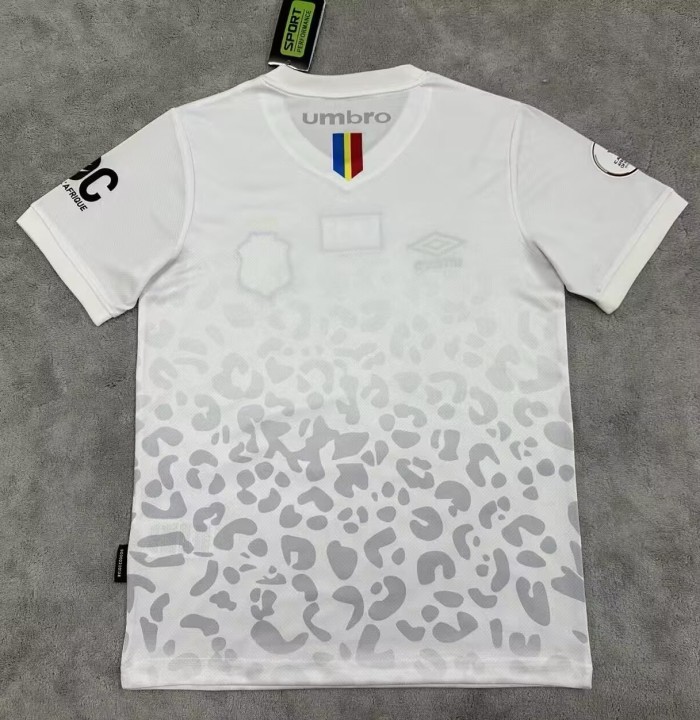 25-26 Congo Special Edition Fans Soccer Jersey