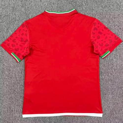 2026 Iran Away Fans Soccer Jersey