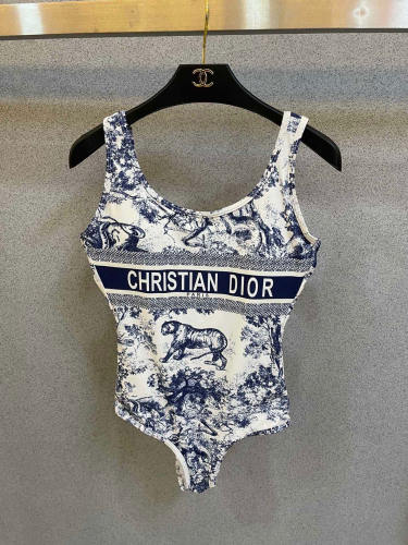 Dior Swimsuit Size S-XL