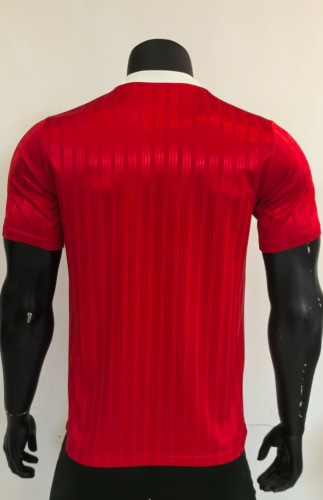 2025 AD Casual Red Player Version Training shirts *三叶草