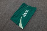 2025 No Label Player Version Training Short Suit —Green 绿色 无标