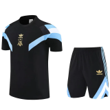 25-26 Argentina High Quality Training Short Suit