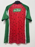 25-26 Palestine Third Fans Soccer Jersey 1:1 Thai Quality