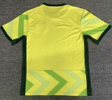 25-26 Australia Home Fans Soccer Jersey