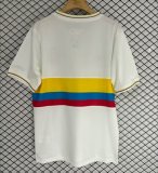 2024 Colombia 100th Anniversary Commemorative Edition Fans Soccer Jersey