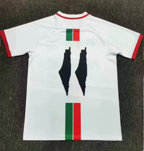 2023 Palestine Fans Version Soccer Jersey
