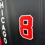 23-24 BULLS LAVINE #8 Black City Edition Top Quality Hot Pressing NBA Jersey