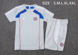 25-26 Bayern High Quality Training Short Suit