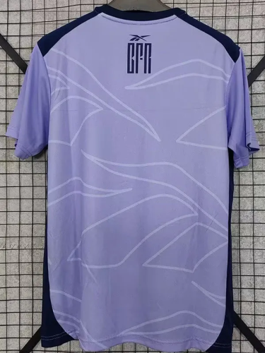 25-26 Botafogo Purple Training shirts