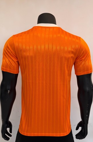 2025 AD Casual Orange Player Version Training shirts *三叶草