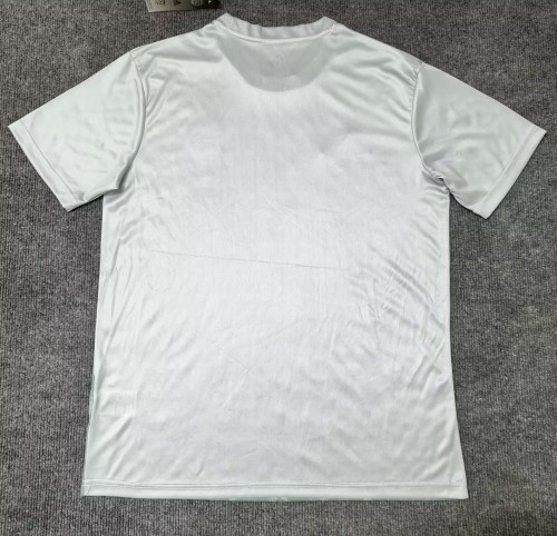 25-26 Algeria Grey Green Special Edition Fans Soccer Jersey